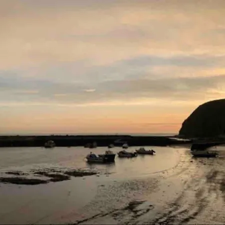 Johnny Reb In The Heart Of Apartamento Staithes