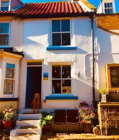 Johnny Reb In The Heart Of