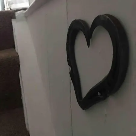 Johnny Reb In The Heart Of Apartment *