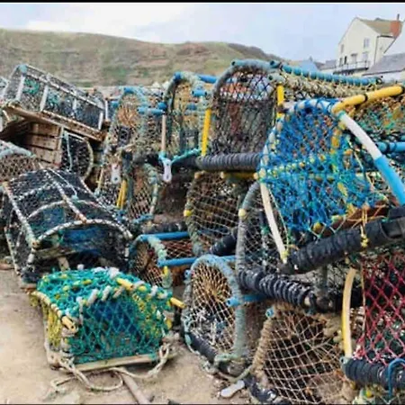 Johnny Reb In The Heart Of * Staithes